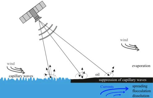 Figure A. 2 shows the SAR backscatter dependency to wind speed for three distinct cases of strong, medium, and low wind speeds; medium winds ( 3 – 7 m/s) produce the ideal sea state for SAR oil-spill detection.