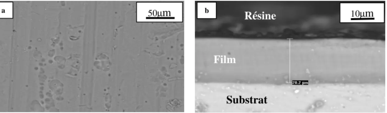 Figure 9 : Observation au microscope électronique à balayage d'un film anodique sur  AA7175 T7351 (a : surfacique X500; b : en coupe transversale X1500)