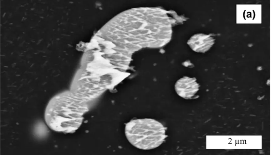 Figure III-2  : Micrographies MEB des différents précipités présents dans l’alliage 2024  T351 : a) particules intermétalliques Al 2 CuMg ; b) particules intermétalliques Al-Cu-Mn-Fe 