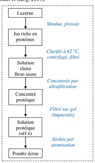 Figure I. 10 : Procédé d’obtention de poudre protéique issue de jus vert de luzerne   (Wattiaux et Karg, 2004)