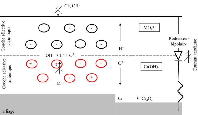 Figure I-2 : Représentation schématique du comportement bipolaire d’un film passif  développé à la surface d’un acier inoxydable [Bro86] 