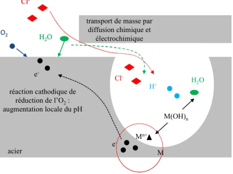 Figure I-5 : Modèle de la dissolution passive, selon Oldfield et Sutton [Old78a] 