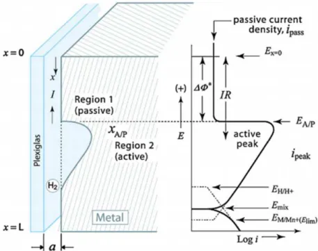 Figure I-7 : Modèle de la chute ohmique, d’après Shu et al. [Shu11] 