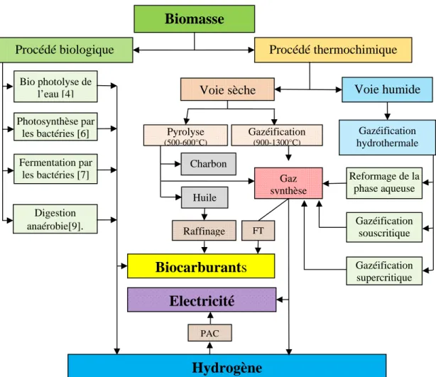 Figure  1‐1:  Les  différentes  technologies  de  production  d’hydrogène  à  partir  de  la  biomasse,  FT :  Fischer ‐  Tropsch. 