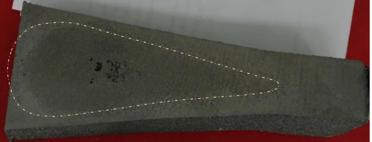 Figure 3.1 - Coupe transversale du block C6 présentant une zone affectée par du graphite Chunky marquée par la  ligne en pointillés