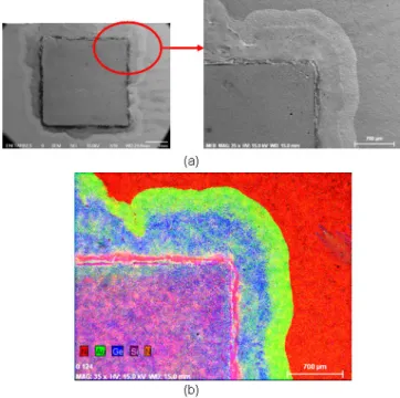 Figure 8 : Analyses au profilomètre optique de la zone de rupture  après cisaillement pour la finition Au 