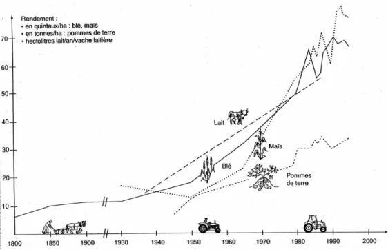 Figure 7 : Schéma représentant les rendements du lait, maïs, blé et des pommes de terre de 1800 à 2000 