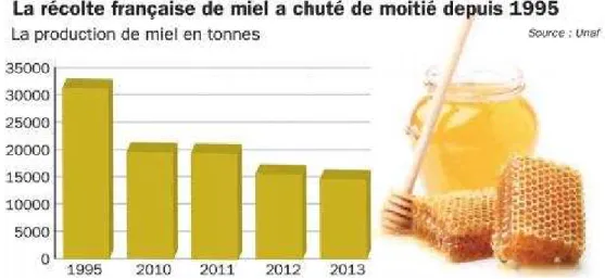 Figure 10 : Graphique représentant l'évolution de la récolte de miel depuis 1995 [27] 