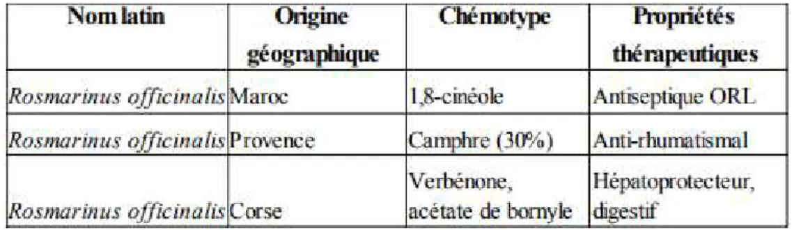 Tableau 2: Exemple de chémotypes différents pour Rosmarinus officinalis [7] 
