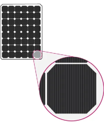 Figure 2-1 Monocrystalline solar cells 