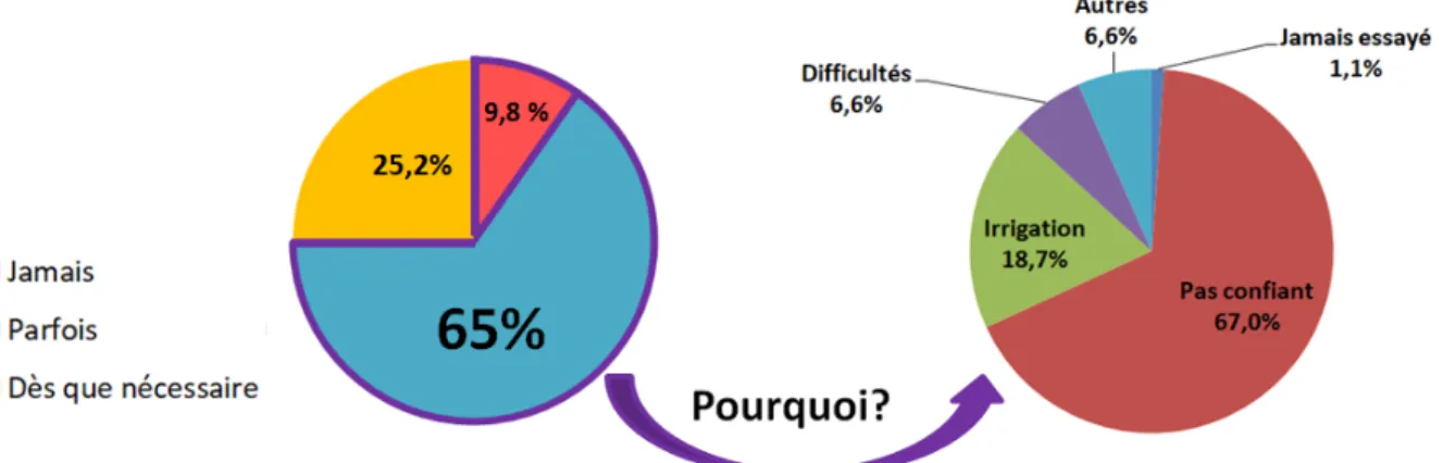 Figure 14 : Diagramme sectoriel de la fréquence d'utilisation de la vision indirecte (Thibault  HENRY) 