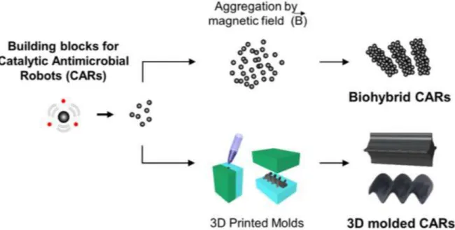 Figure 15 : deux types de microrobots, un à base de nanoparticules de fer  dans une solution, l’autre à partir de nanoparticules moulées en 3D dans un gel 