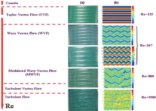 Fig. 8 – Illustration of different flow regimes ( = 0.85). (a) Visualization of experiments and (b) numerical simulations.