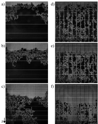 Figure 3 depicts the phase distributions as observed  during isothermal drying at a constant temperature of  T = 63°C