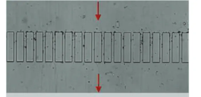Fig. 4. / ¼ 5:10 ÿ3 v=v; q ¼ 2 ml h ÿ1 : cluster formation after 90 min of dead-end filtration