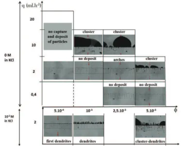 Fig. 10. / ¼ 10 ÿ3 v=v; q ¼ 2 ml h ÿ1 : formation of tilted dendrites after 90 min of cross-flow filtration