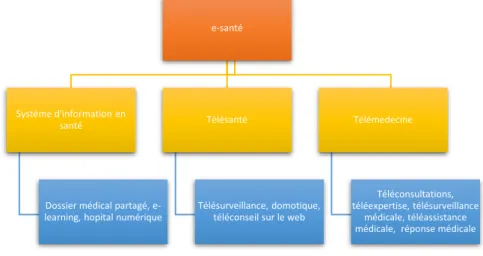 Figure 1 :  Représentation de l'organisation de la e-santé