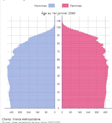 Figure 2 Schéma représentant la pyramide des âges en 2060 - Tableau de l'économie français Edition 2016 