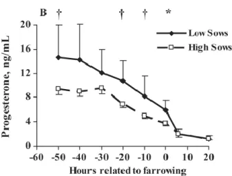 Figure 2 : Variations du taux plasmatique de progestérone autour de la mise-bas  chez  des truies produisant  peu de colostrum (Low Sows) et des truies produisant beaucoup de colostrum (High Sows)