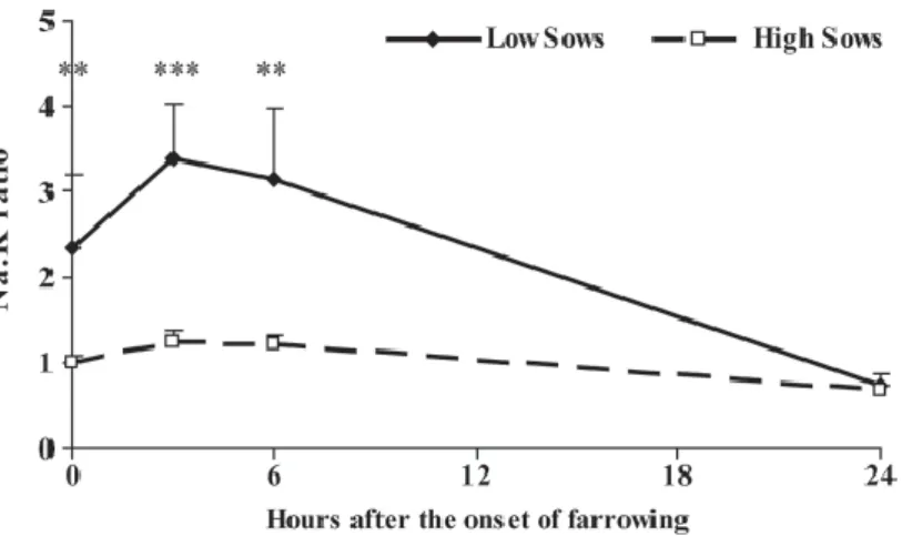 Figure  3 :  Variations  du  rapport  Na/K  dans  le  colostrum    chez  des  truies  produisant  peu  de  colostrum  (Low  Sows)  et  des  truies  produisant  beaucoup  de  colostrum  (High  Sows)
