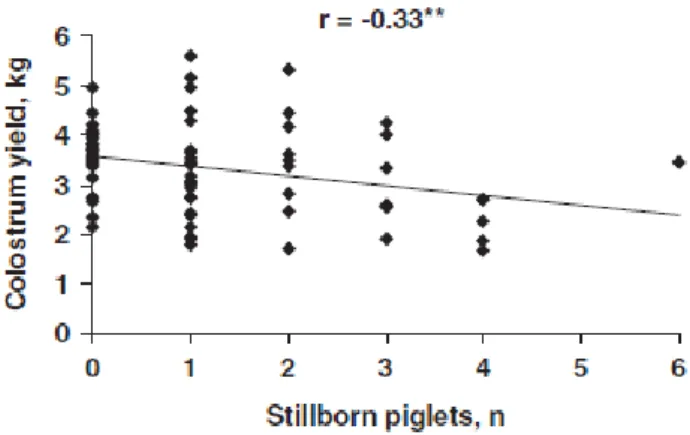 Figure 4 : Relation entre le nombre de porcelets mort-nés et la production colostrale de la truie