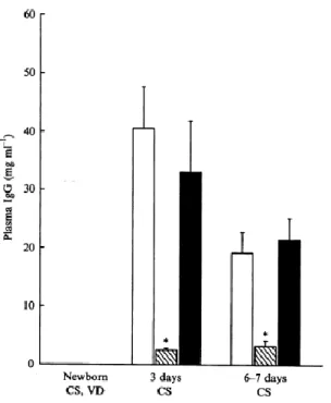 Figure 6 : Concentration plasmatique en IgG chez des porcelets  nés par voie vaginale (VD) ou césarienne (CS)  et ayant reçu des injections de sérum physiologique (colonnes vides), de métapyrone (colonnes hachurées) ou  d’ACTH (colonnes noires)