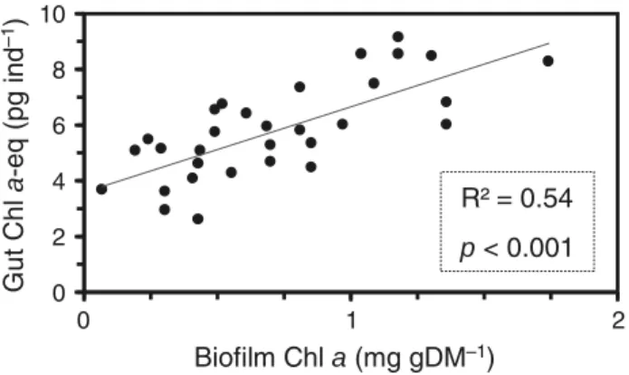Fig. 3 Linear correlation (N = 31) between individual gut content of Chromadorina bioculata and Chromadorina viridis in chlorophyll a-equivalent (Chl a-eq) and the biofilm  chloro-phyll a concentration (Chl a) 0510 0 50 100