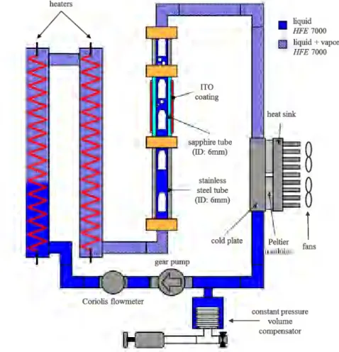 Figure 1  Schematic of the experimental apparatus. 