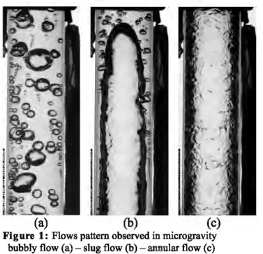 Figure  1:  Flows pattern observed in  microgravity  bubbly flow (a)- slug flow (b)- annular flow (c)  References 