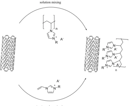Figure I.5. Schematic representation of two routes for non-covalent functionalization of  CNTs