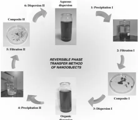 Figure I.6. Procedure for the reversible transfer method of nano-objects between aqueous and  organic phases [34]