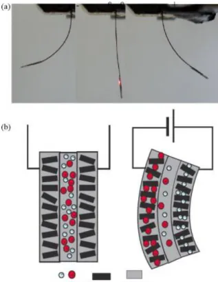 Figure I.18. (a) Performances of a bucky-gel actuator in response to alternating square-wave  voltages, (b) schematic drawing of the response modeling of the bucky-gel actuator based on 