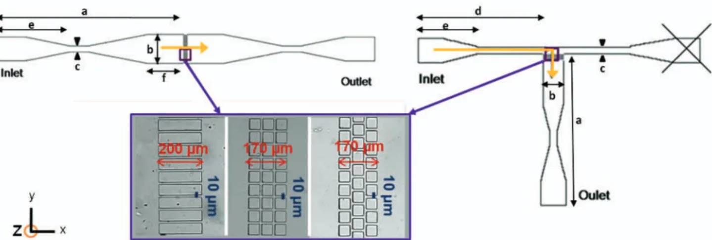 Figure 1. Sketch of the PDMS micro-separators working in the dead-end (left) or pseudo-cross-ﬂow mode (right)