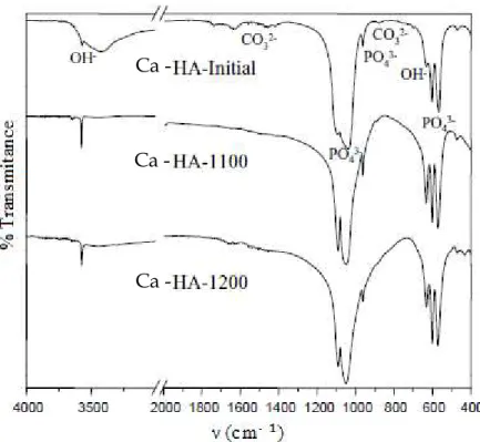 Figure 8: IR spectrum of hydroxyapatite calcined at different temperatures according  to PADILLA et al (2005) [56] 