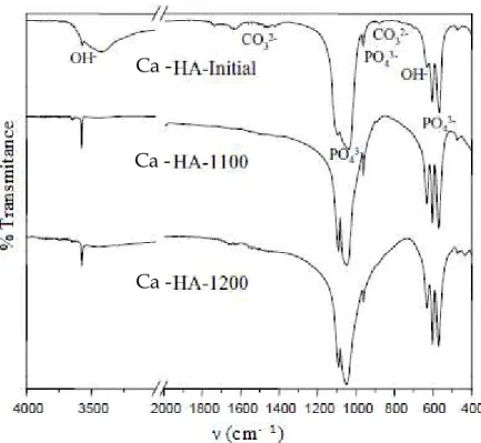 Figure 8: IR spectrum of hydroxyapatite calcined at different temperatures according  to PADILLA et al (2005) [56] 
