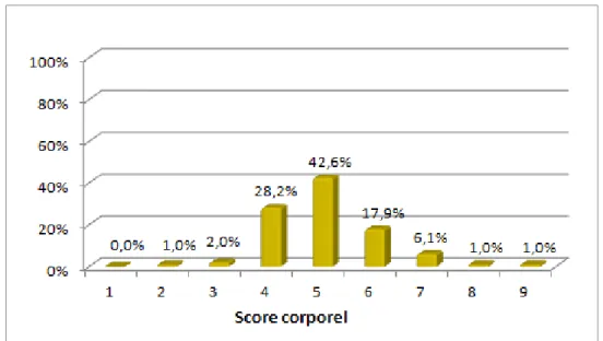 Figure 5 : Répartition des chiens en fonction de leur score  corporel 