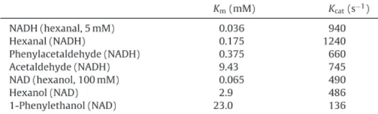Fig. 4. Transgenic plants with RNAi-mediated silencing of SlscADH1. (A) Phenotype of a two-month old plant with altered SlscADH1 expression under the control of the CaMV 35S constitutive promoter (right) compared to WT plant (left)
