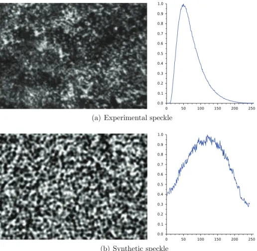 Fig. 3. Definition of the test panel speckles.