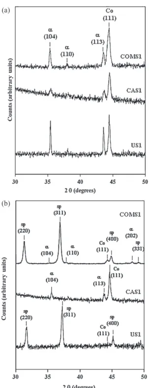 Fig. 3. XRD patterns of the COMS1, CAS1 and US1 specimens prepared by SPS. (a) Surface; (b) core.
