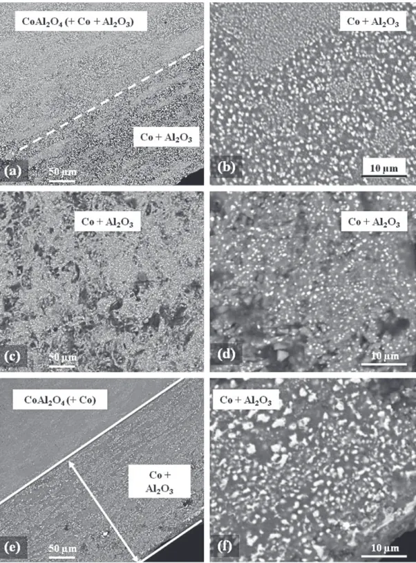 Fig. 4. FESEM images of a cross-section of the composites prepared by SPS: COMS1 (a and b), CAS1 (c and d) and US1 (e and f).