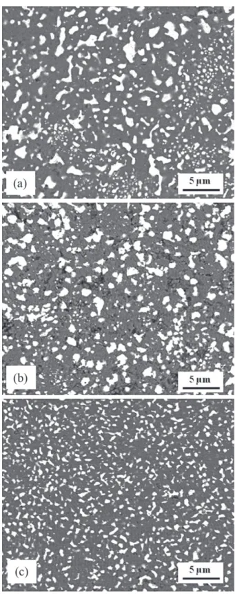 Fig. 5. Thickness of the surface composite layer versus the density of the specimens the US2, US3, US4 and US5 specimens prepared by SPS.