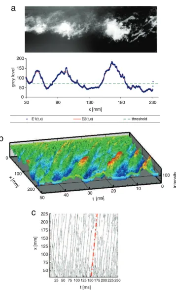 Fig. 10. Spatio-temporal diagram; (a) spatial average grey level, (b) contour map of stripes, (c) detection of peak values of stripes (ca v 2).