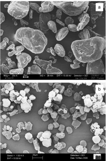 Fig. 1. SEM micrograph of (a) preground PLA particles and (b) starch particles.