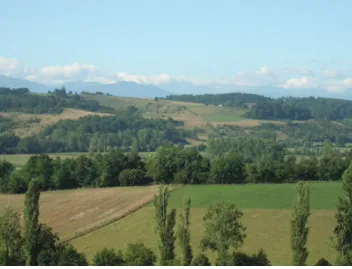 Fig. 1. Photograph of some of the small private forests included in the case study.