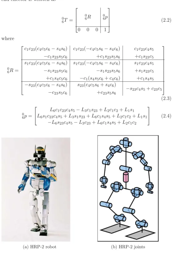Figure 2.4: The HRP-2 robot and its joints