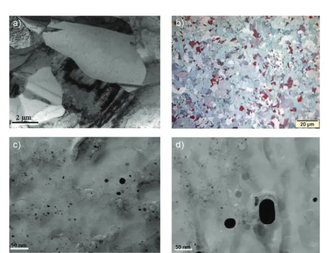 Fig. 1. Microstructural observations of sample (C). (a) Bright field TEM micrograph showing the partially recrystallised grain structure