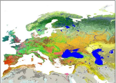 Figure 5.  Illustration de la zone considérée dans cette étude : zone Ecoclimap-II Europe  (Source : Faroux et al., 2009) 