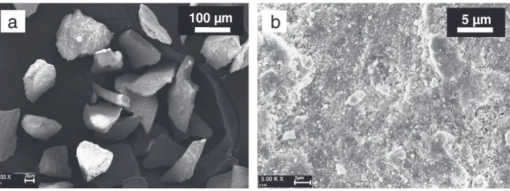 Fig. 1. SEM micrographs of the HA powder (Teknimed) after sieving, with a particle size ranging between 50 and 80 μm: a) overview and b) particle surface at a higher magniﬁcation.