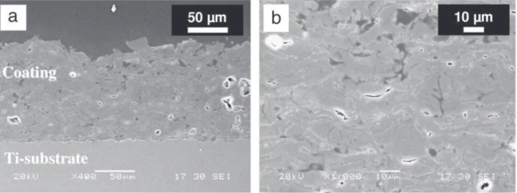Fig. 4 shows SEM micrographs of a cross-section of HA coating produced with 12 spray runs