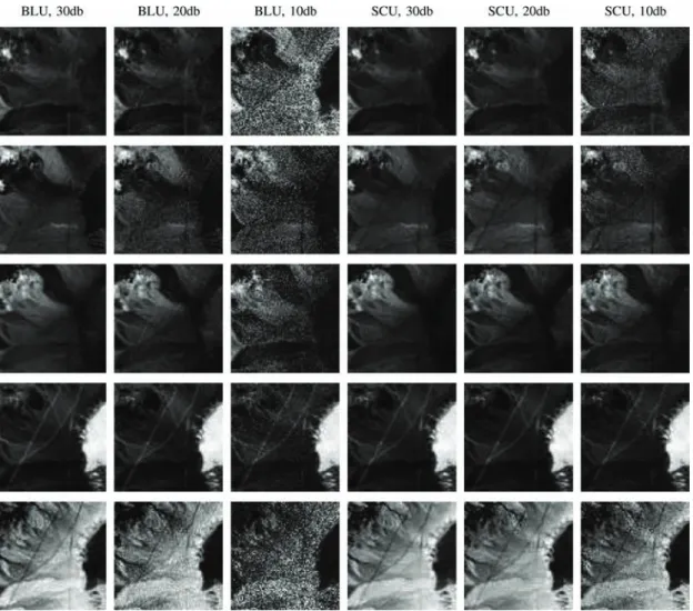 Fig. 8. The estimated abundances. The algorithm and SNR for each column is written at the top row